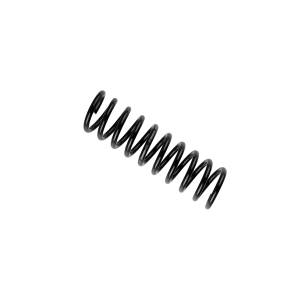 Steering And Suspension - Springs