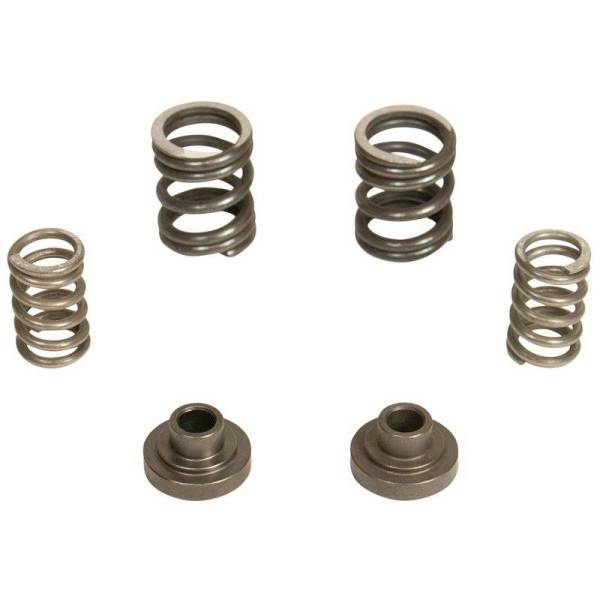 BD Diesel - BD Diesel Governor Spring Kit, 3000rpm - 1994-1998 Dodge 12-valve/P7100 Pump 1040187