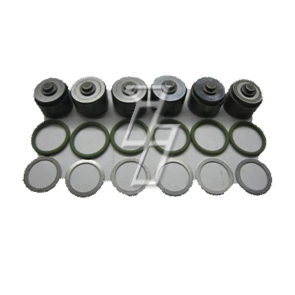 Industrial Injection - DELIVERY VALVES SET .191
