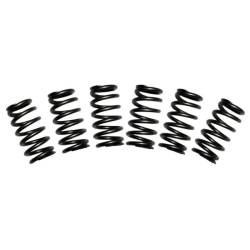 BD Diesel Valve Spring Kit 60# Cummins 5.9 12-valve 1030060