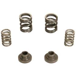 BD Diesel Governor Spring Kit, 3000rpm - 1994-1998 Dodge 12-valve/P7100 Pump 1040187
