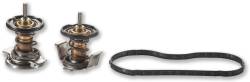Alliant Power AP63498 Thermostat Kit