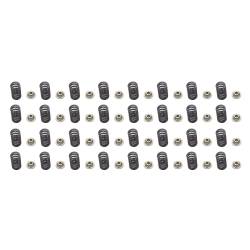 Industrial Injection - Duramax LB7 95lb Gas Nitrated Springs & Retainers - Image 1