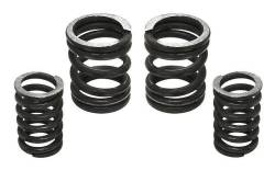 12V P7100 5000 RPM Gov Spring Kit
