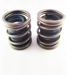 Dynomite Diesel - Dodge 94-98 5.9L 12 Valve P-Pump Competition Governor Spring Set Dynomite Diesel - Image 2