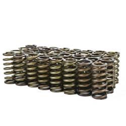 HD High Boost Valve Spring Set 2003-2010 Ford 6.0L/6.4L Powerstroke XDP